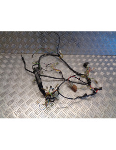 faisceau eletrique moto derbi 125 senda baja sm supermotard sc2a1a 2006