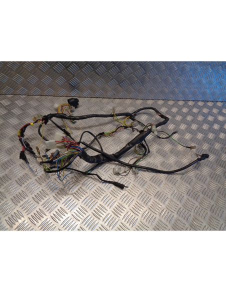 faisceau eletrique moto derbi 125 senda baja sm supermotard sc2a1a 2006