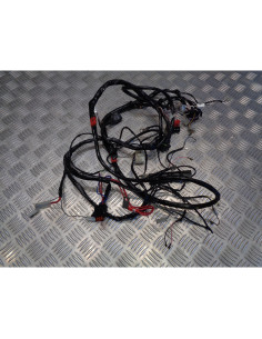 faisceau electrique scooter piaggio 50 liberty 2 temps c42500 2009