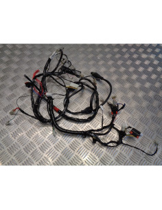 faisceau electrique scooter piaggio 50 liberty 2 temps c42500 2009 2