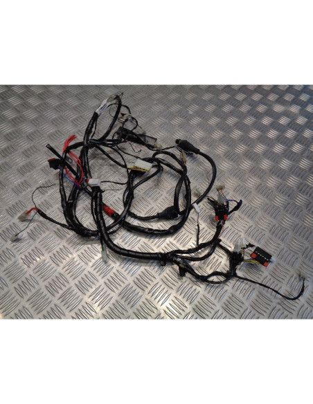 faisceau electrique scooter piaggio 50 liberty 2 temps c42500 2009