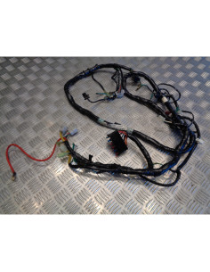 faisceau electrique scooter kymco 250 ego