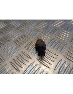 sonde temperature eau radiateur ventilateur scooter kymco 250 ego 2