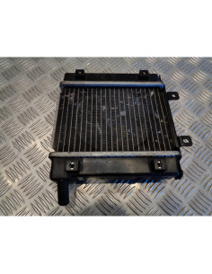 radiateur eau refroidissement scooter kymco 250 ego