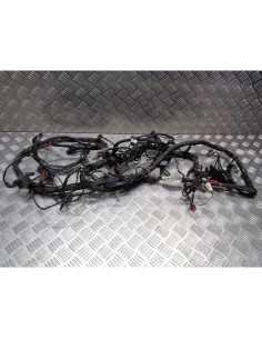 faisceau electrique scooter piaggio 125 x9 evolution 2