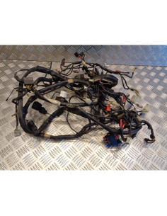 faisceau electrique scooter piaggio 125 x9 2000 - 2003 2