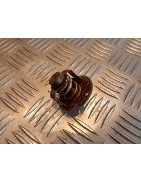 thermostat moto kawasaki en 450 ltd en450a