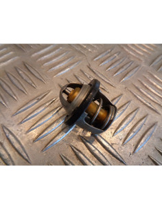 thermostat scooter beta 125 eikon