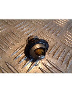 thermostat scooter beta 125 eikon 2