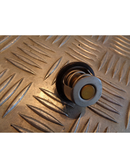 thermostat scooter beta 125 eikon