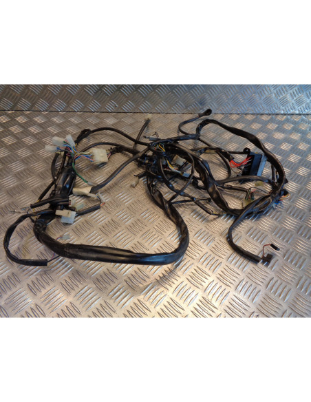 faisceau electrique scooter beta 125 eikon