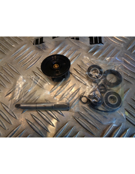 kit reparation mecanisme pompe a eau scooter piaggio 50 zip nrg sp gilera dna ru