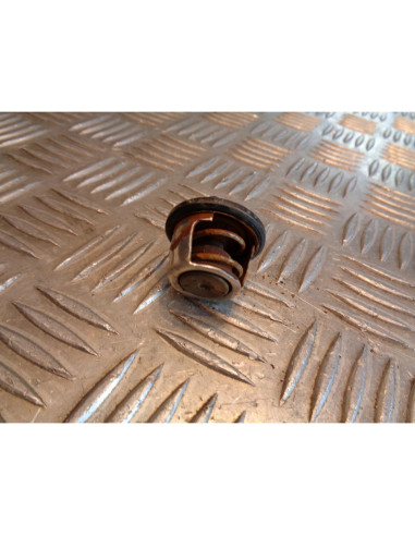 thermostat scooter malaguti 125 madison yamaha majesty skyliner