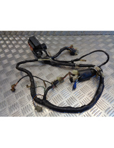 faisceau électrique moto yamaha 850 tdm 3vd