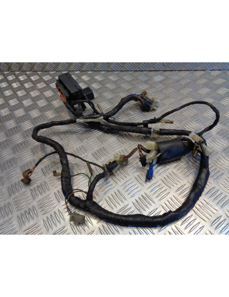 faisceau électrique moto yamaha 850 tdm 3vd