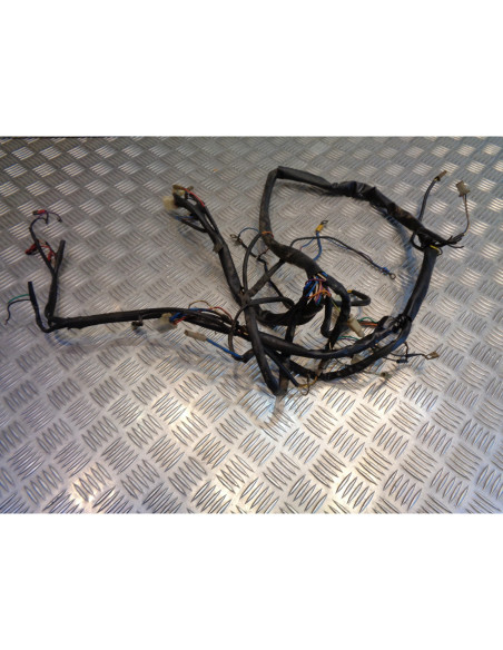 faisceau electrique scooter malaguti 50 f10