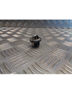 thermostat scooter scooter 250 gts