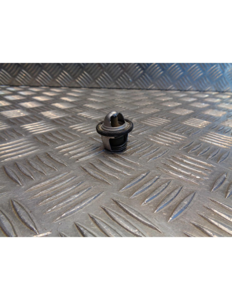 thermostat scooter scooter 250 gts