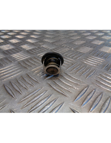 thermostat scooter scooter 250 gts