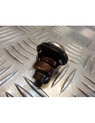 thermostat moto yamaha 80 dtlc 53w