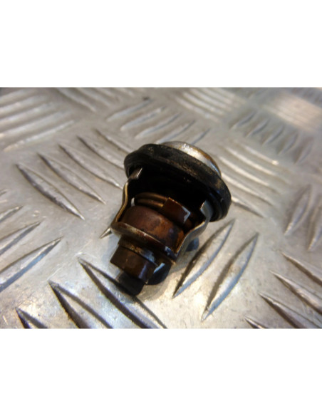 thermostat moto yamaha 80 dtlc 53w