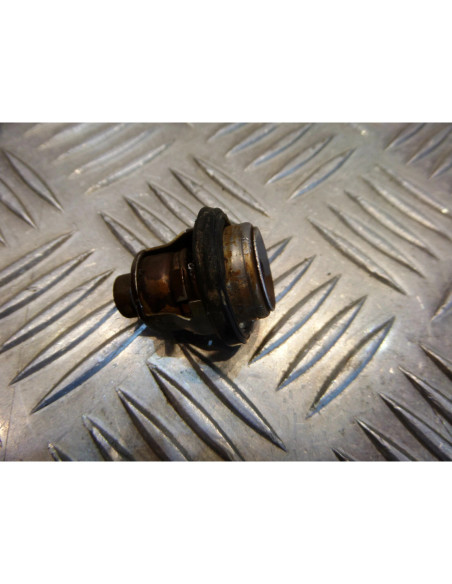 thermostat moto yamaha 80 dtlc 53w