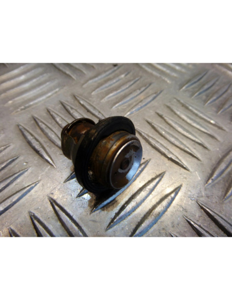 thermostat moto yamaha 80 dtlc 53w