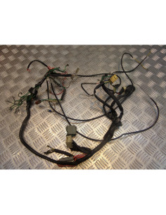 faisceau electrique moto peugeot 125 txt