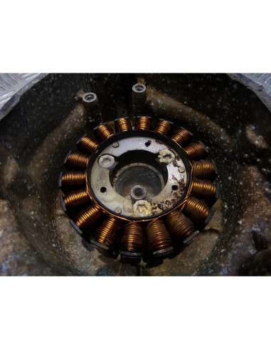 carter allumage + stator bobine allumage scooter honda fes 125 pantheon 2 temps