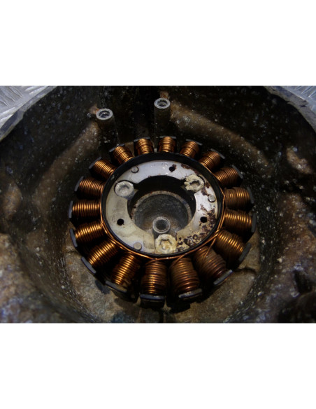 carter allumage + stator bobine allumage scooter honda fes 125 pantheon 2 temps