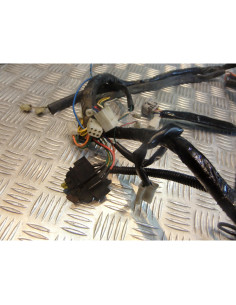 faisceau electrique de scooter aprilia 125 scarabeo zd4pca 2