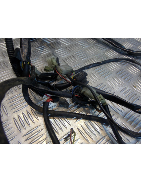 faisceau electrique de scooter aprilia 125 scarabeo zd4pca