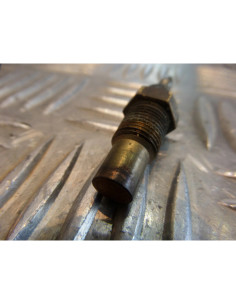 sonde temperature de moto yamaha 1000 fzr 2le 2