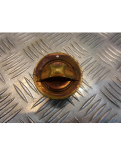 thermostat moto Yamaha 1000 fzr 2le