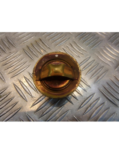 thermostat moto Yamaha 1000 fzr 2le