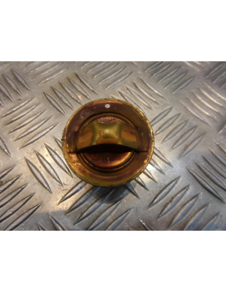 thermostat moto Yamaha 1000 fzr 2le