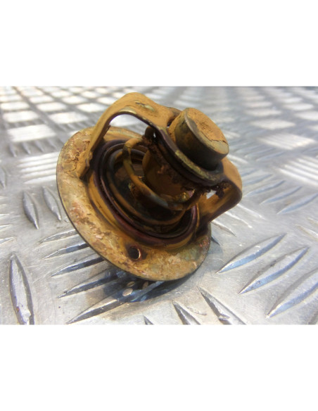 thermostat moto Yamaha 1000 fzr 2le