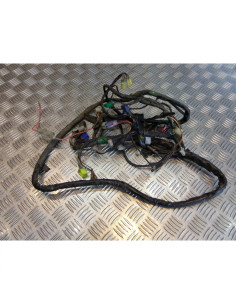 faisceau electrique scooter pgo 125 t-rex t rex trex