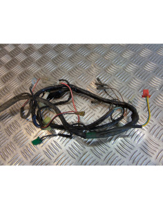 faisceau electrique scooter pgo 125 t-rex t rex trex 2