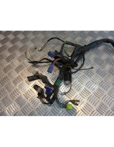 faisceau electrique scooter pgo 125 t-rex t rex trex