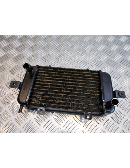 radiateur eau refroidissement scooter bmw 125 c1