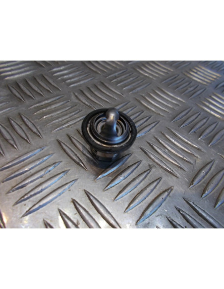 thermostat scooter suzuki uc 125 epicuro