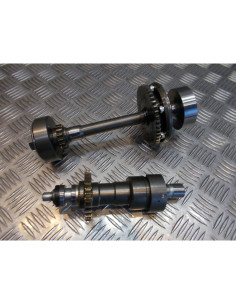 arbre pignon moteur entrainement alternateur moto kawasaki zrx 1200 zrt20a 2004