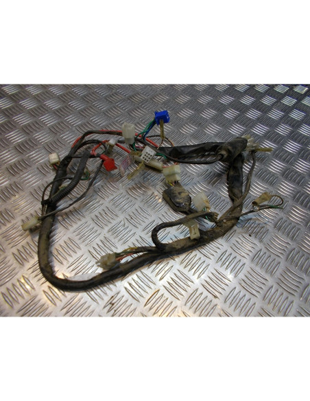 faisceau electrique moto revatto 125 roadster