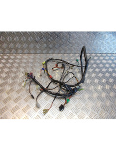 faisceau electrique scooter tgb 50 ergon 2