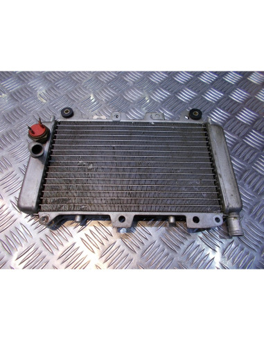 radiateur eau origine scooter piaggio 125 x9 evo evolution