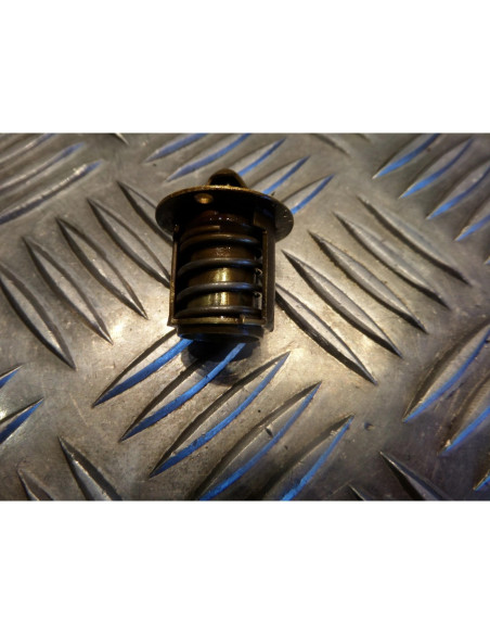 thermostat moto Peugeot 50 xps street evo minarelli am6