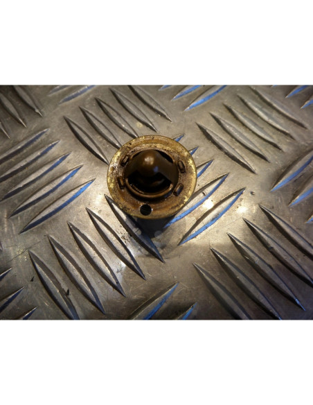 thermostat moto Peugeot 50 xps street evo minarelli am6