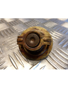 thermostat moto Kawasaki vn 750 vulcan 2