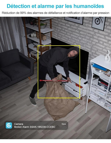 camera surveillance securite wifi Interieure genbolt gb102h cctv ip domestique